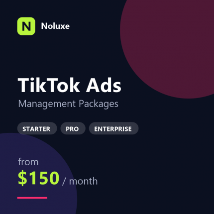 TikTok Ads Management